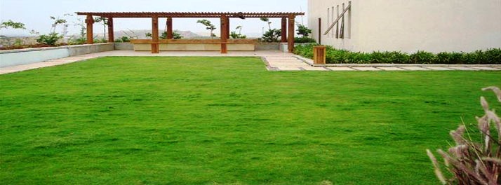 773/Hyatt Hyderabad Gachibowli - Hyderabad 05.jpg